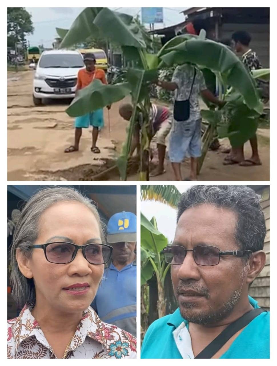 Ilustrasi berita BERITA UTAMA: Protes Kondisi Jalan yang Rusak, Asosiasi Sopir Angkot Merauke Tanam Pisang di Jalanan