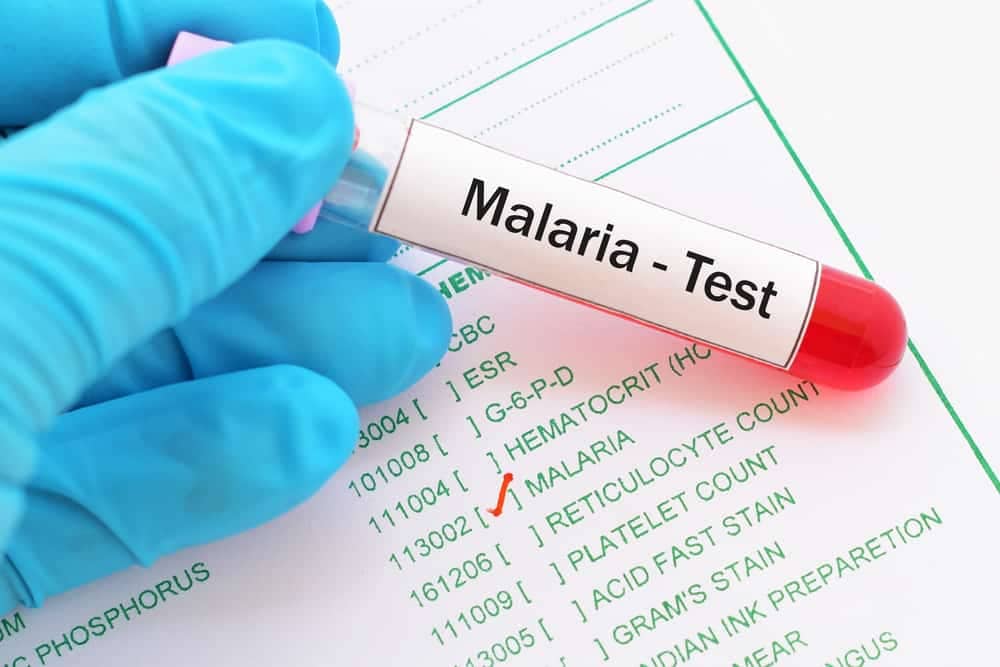 Ilustrasi berita Mimika: Percepat Layanan, Pemeriksaan Malaria di Puskesmas Kini Kurang dari 35 Menit