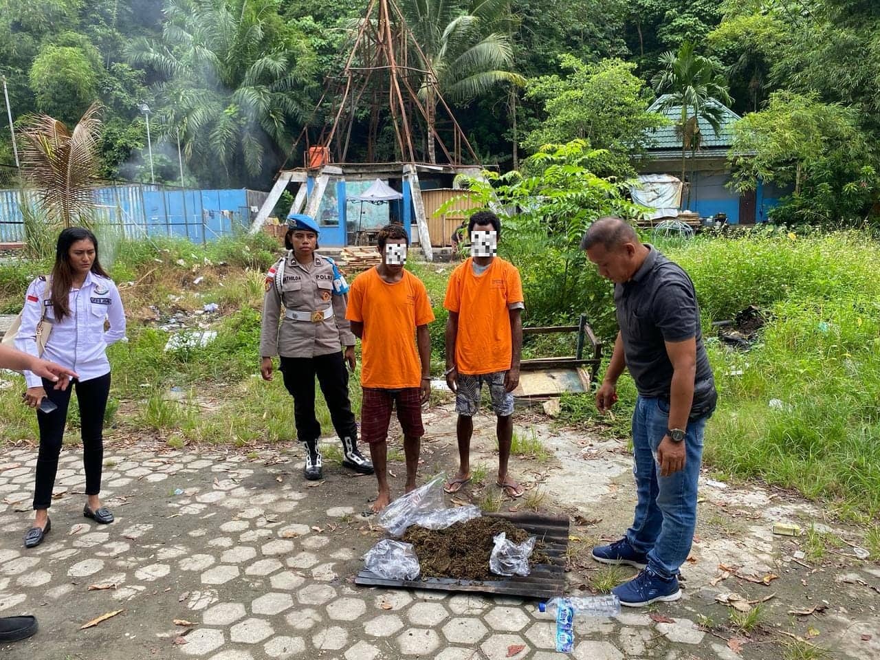 Ilustrasi berita JAYAPURA: 1,8 Kilogram Ganja Hasil Sitaan dari Tiga Tersangka Dimusnahkan