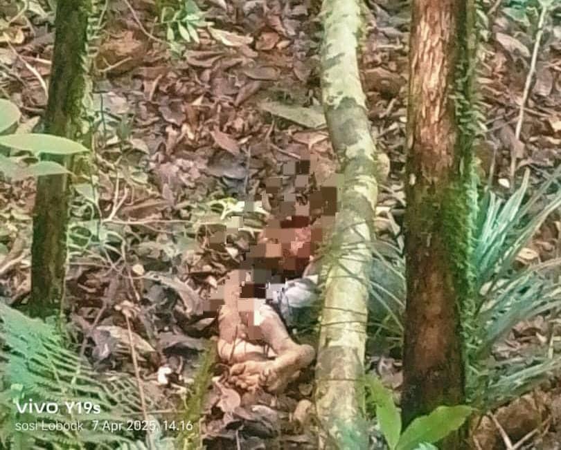 Ilustrasi berita Papua: 7 Orang Tewas dan 46 Selamat dalam Penyerangan KKB di Yahukimo, Berikut Daftar Namanya