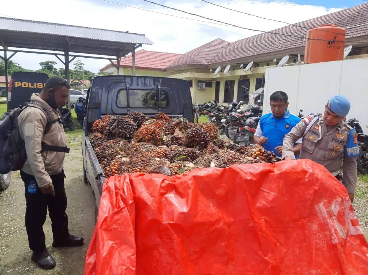 Ilustrasi berita JAYAPURA: Curi Buah Kelapa Sawit Milik PT. Tandan Sawita Papua, Tiga Warga Warga Diciduk Polsek Arso Timur