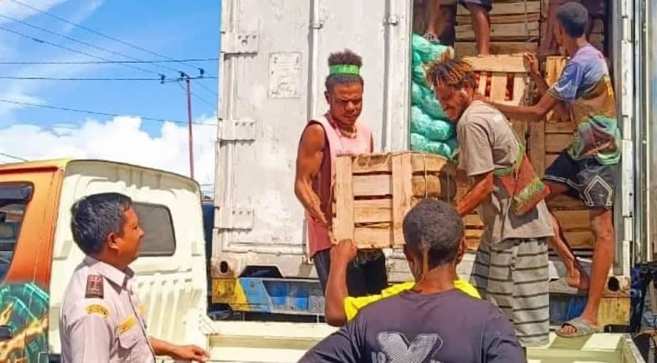 Ilustrasi berita Papua: 16 Ton Sayur dan Buah Asal Surabaya Masuk Nabire Melalui Pelabuhan Samabusa