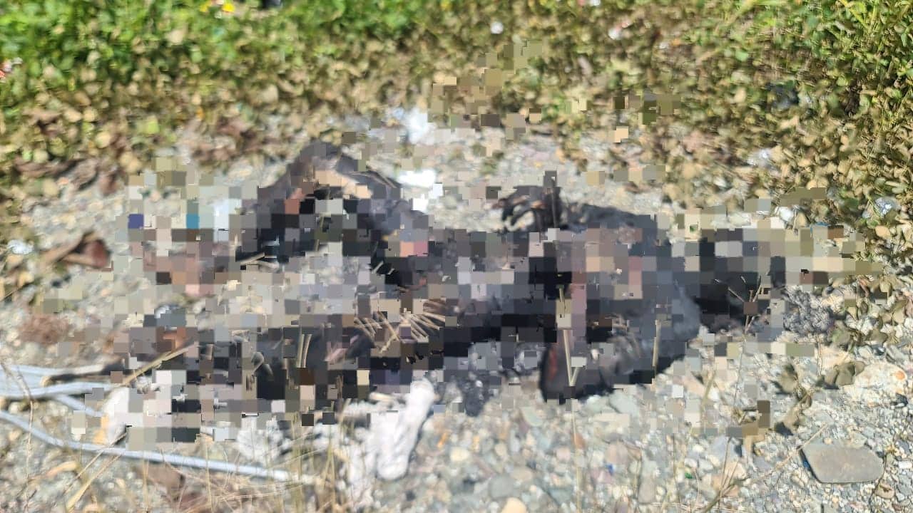 Ilustrasi berita Mimika: Mayat Gosong Ditemukan di Lahan Kosong Jalan WR Supratman Timika
