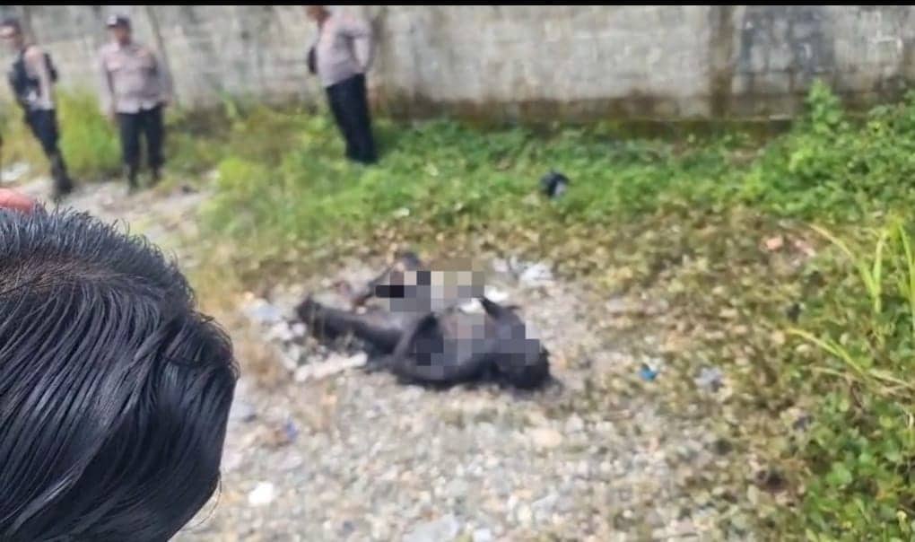 Ilustrasi berita Mimika: Dibawa ke RSUD Mimika, Identitas Pria yang Ditemukan Tewas Dalam Kondisi Gosong di Jalan Petrosea Masih Mr X