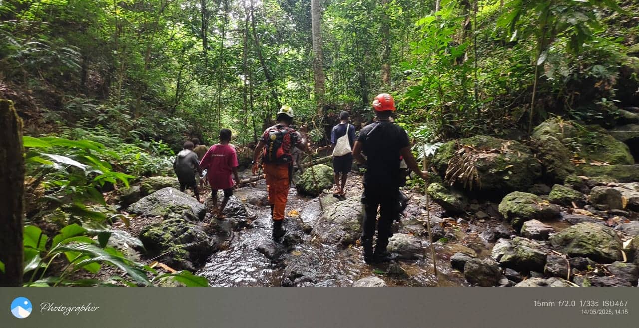 Ilustrasi berita JAYAPURA: Seorang Perempuan Hilang di Hutan Kampung Meukisi Saat Berkebun