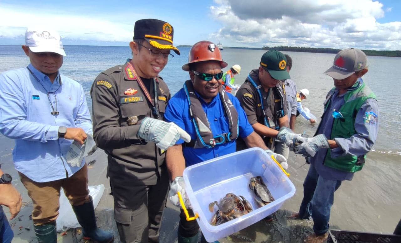 Ilustrasi berita Mimika: Populasi Terancam Habis, Karantina Perikanan Papua Tengah Catat Ribuan Kepiting Mimika Diekspor ke Malaysia