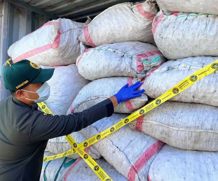 Ilustrasi berita Mimika: Kopra Papua Tengah Diminati Pasar Nasional, 31 Ton Dikirim ke Surabaya Melalui Pelabuhan Pomako Timika