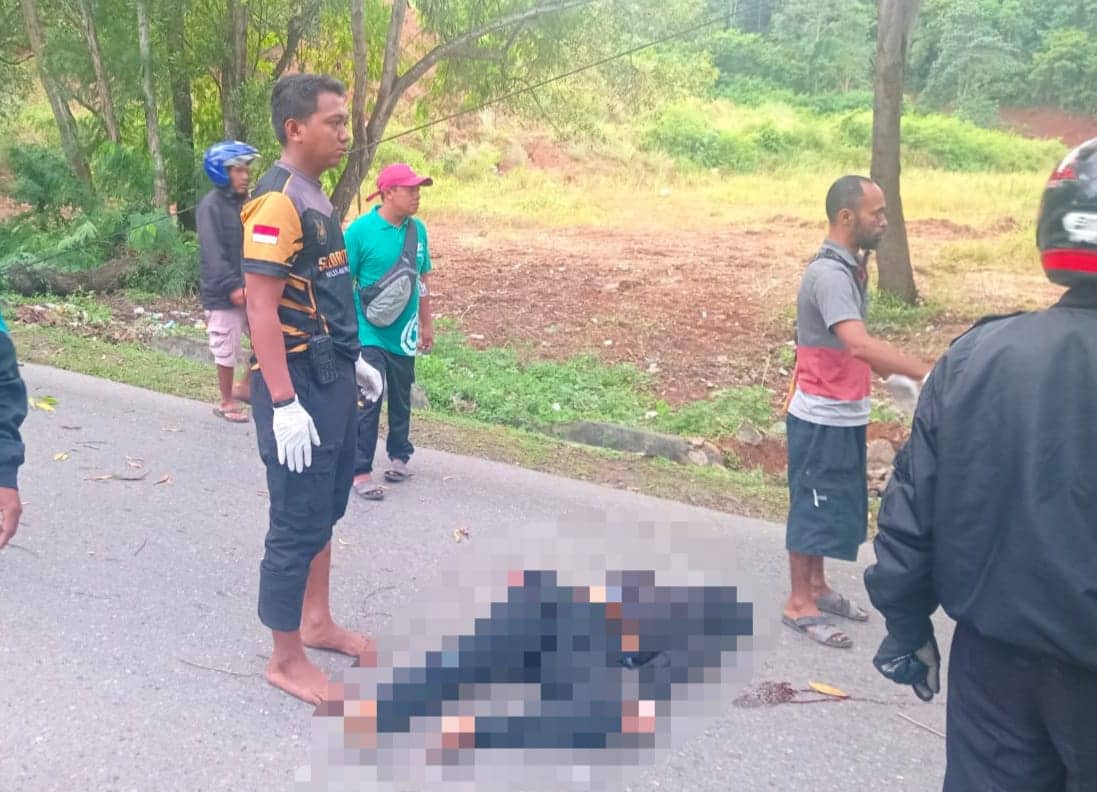 Ilustrasi berita JAYAPURA: Pengendara Motor Meninggal Tertimpa Pohon Tumbang di Abepura Jayapura