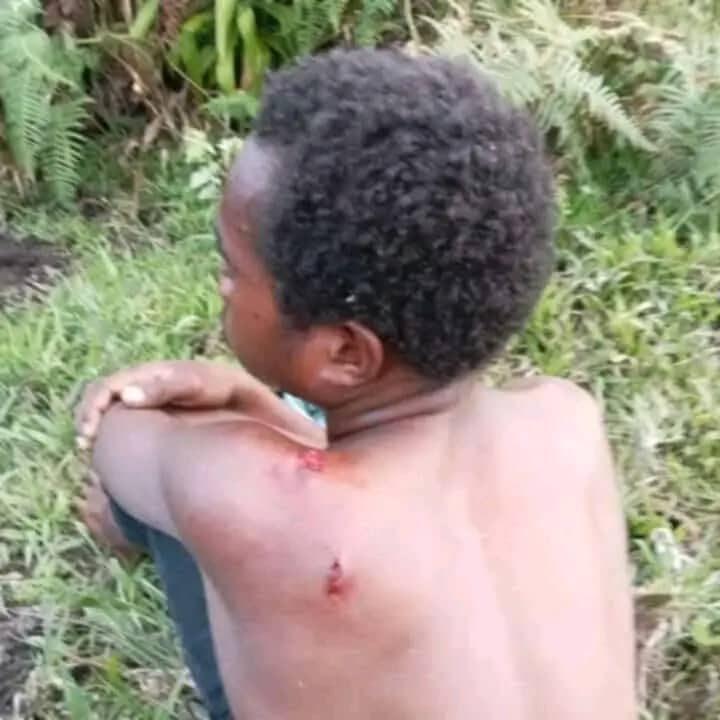 Ilustrasi berita Papua: TPNPB OPM Tuding Aparat Keamanan Tembak Anak Sekolah di Dogiyai
