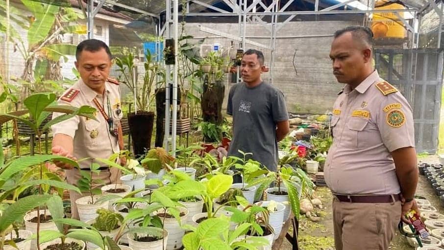Ilustrasi berita Mimika: Karantina Papua Tengah Dorong Akselerasi Ekspor Tanaman Hias dari Mimika