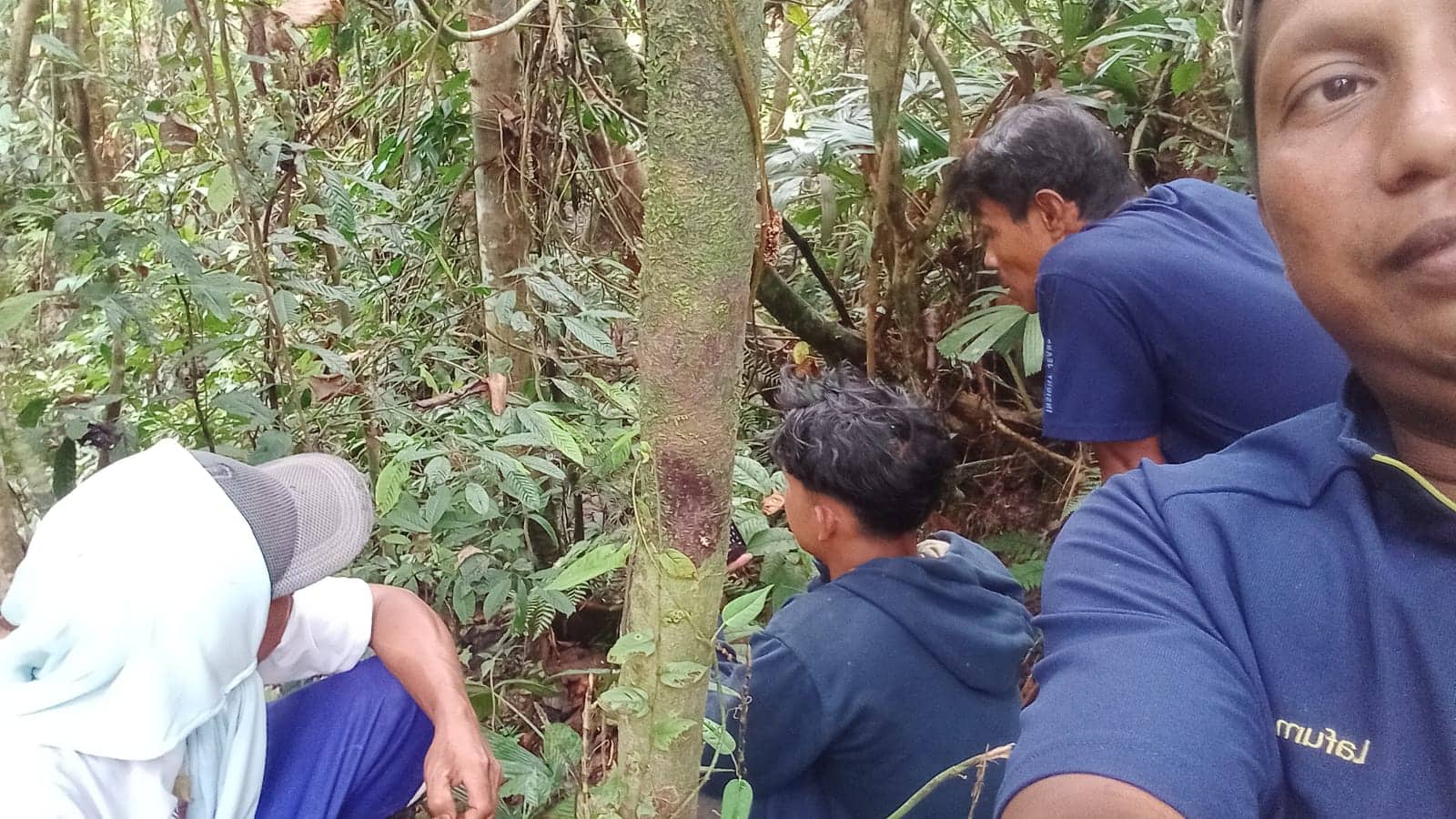 Ilustrasi berita Mimika: Setelah 12 Jam Dalam Pencarian, Lima Warga yang Tersesat di Hutan Iwaka Ditemukan Selamat