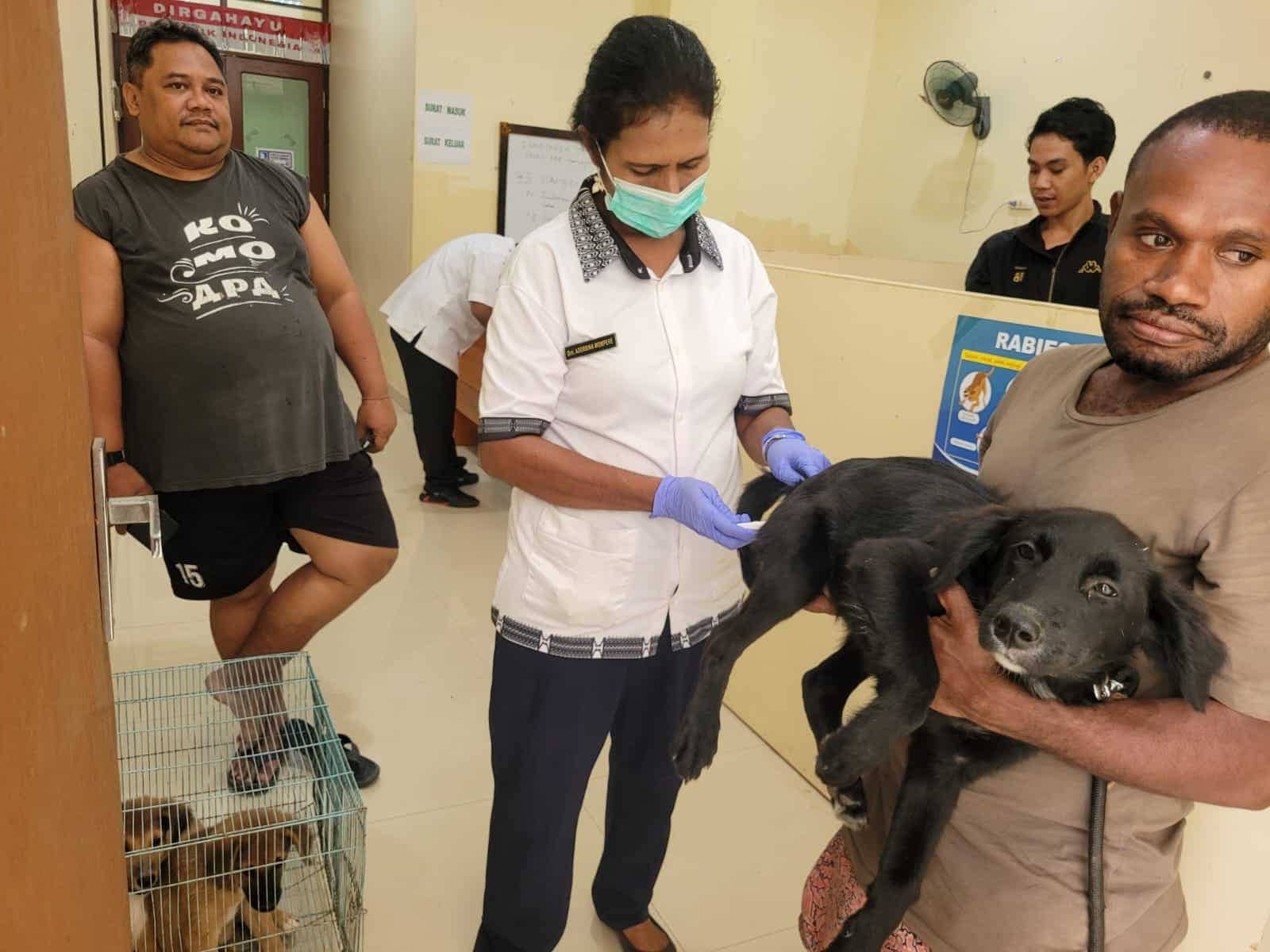 Ilustrasi berita JAYAPURA: Cegah Rabies, Dinas Perkebunan dan Peternakan Jayapura Gelar Vaksinasi Hewan Peliharaan
