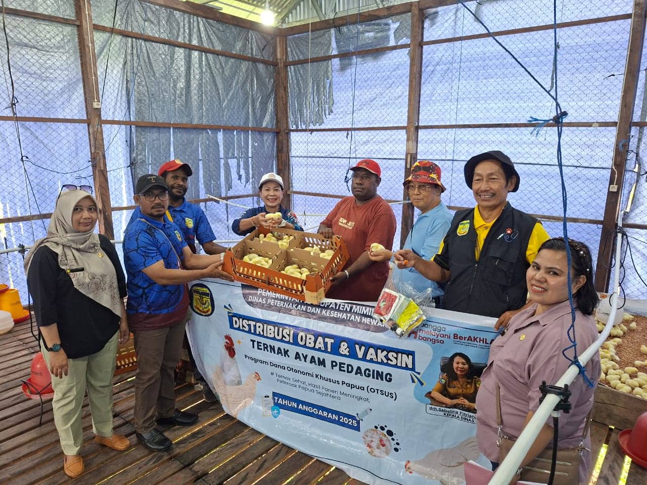 Ilustrasi berita Mimika: Dinas Peternakan Mimika Serahkan Bantuan Ribuan Bibit Ayam Potong untuk 15 Kelompok OAP di Empat Distrik