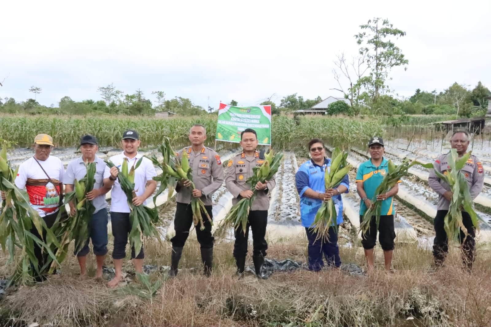 Ilustrasi berita Mimika: Polres Mimika Panen Raya Jagung Serentak Kuartal III