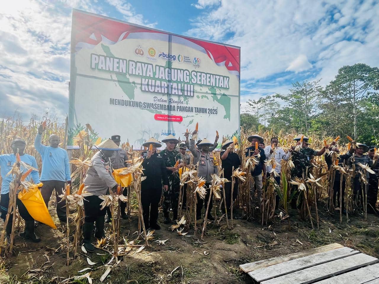 Ilustrasi berita Papua: Polda Papua Panen Raya Jagung Kuartal III, Hasilkan 4 Ton dari Lahan 1,5 Hektare di Kampung Aib Kemtuk