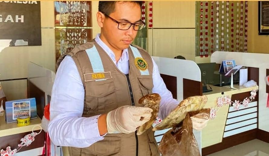 Ilustrasi berita Mimika: 60 Kilogram Gelembung Ikan Asal Timika Dikirim ke Surabaya