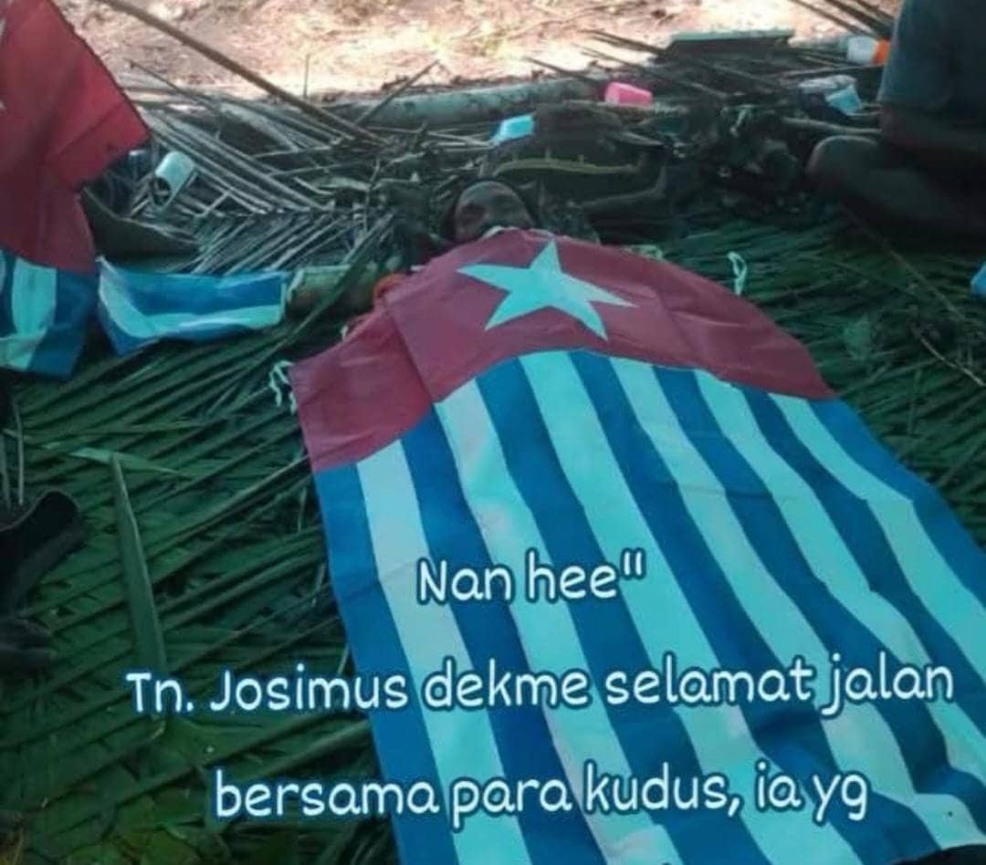 Ilustrasi berita Mimika: Pejuang Kodap III Kali Kopi Tewas Akibat Gigitan Ular di Hutan Mimika