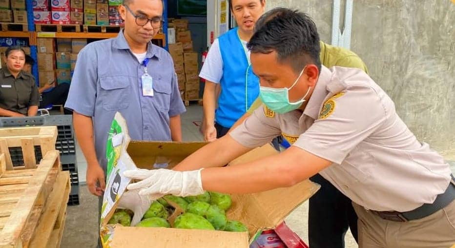 Ilustrasi berita Mimika: 11,5 Ton Komoditas Buah dan Produk Susu Masuk ke Timika