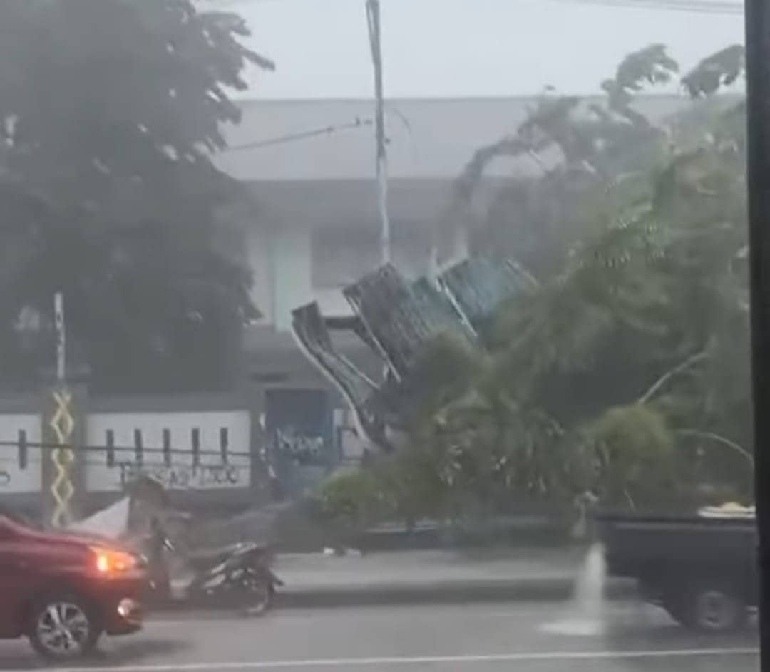 Ilustrasi berita Mimika: Breaking News : Hujan Angin Kencang, Halte Bus di Depan SMP Negeri 2 Mimika Roboh Tertimpa Pohon