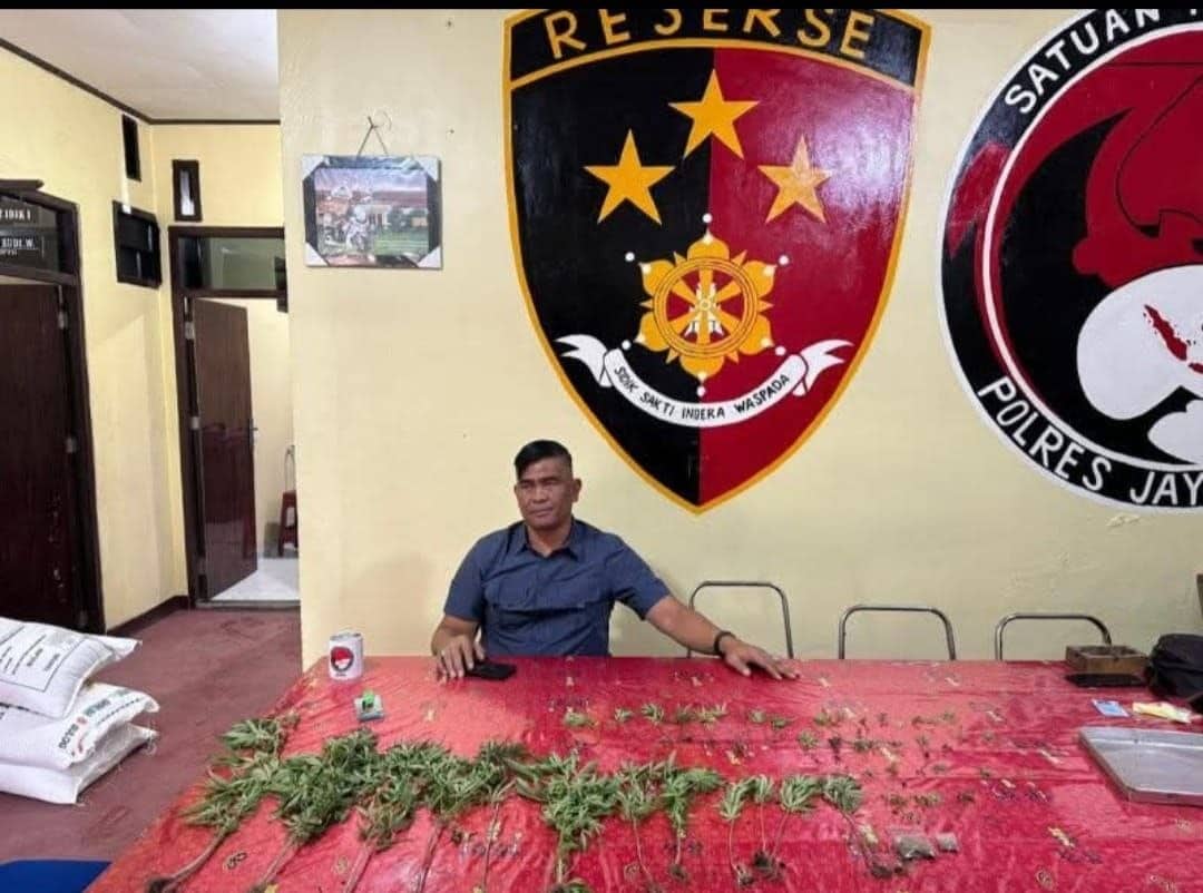 Ilustrasi berita Opini: Miliki "Pabrik Mini" Miras CT dan Tanam 48 Batang Ganja, Oknum ASN Pemda Jayawijaya Ditangkap