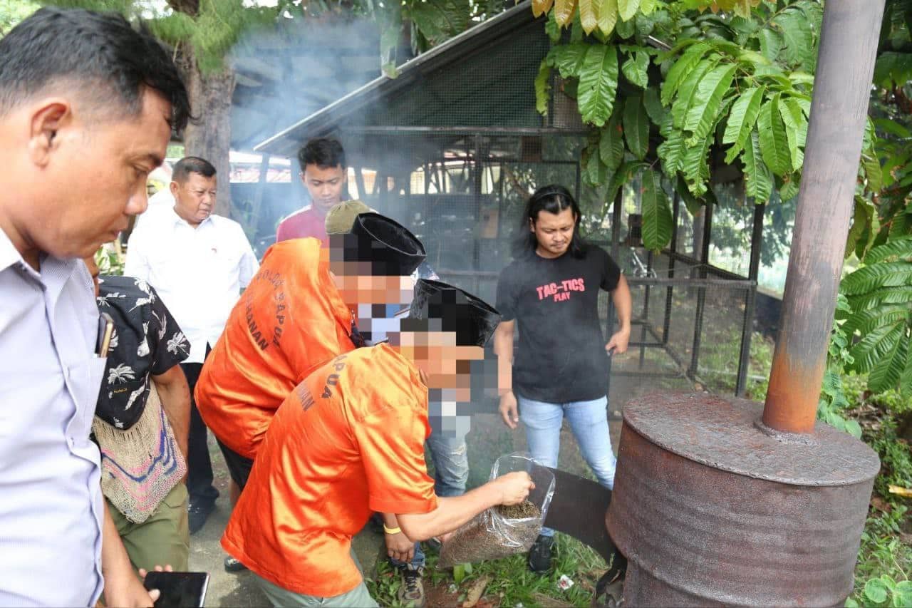 Ilustrasi berita Opini: Polda Papua Musnahkan 6,3 Kilogram Ganja Hasil Pengungkapan Jaringan Lintas Wilayah Indonesia Timur
