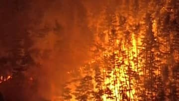 Kebakaran Hutan di Iwate Jepang Picu Pengungsian 1.800 Warga