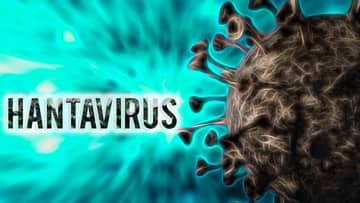 Ilustrasi berita Internasional: Penumpang Kapal MV Hondius Jalani Karantina di Taiwan Akibat Wabah Hantavirus