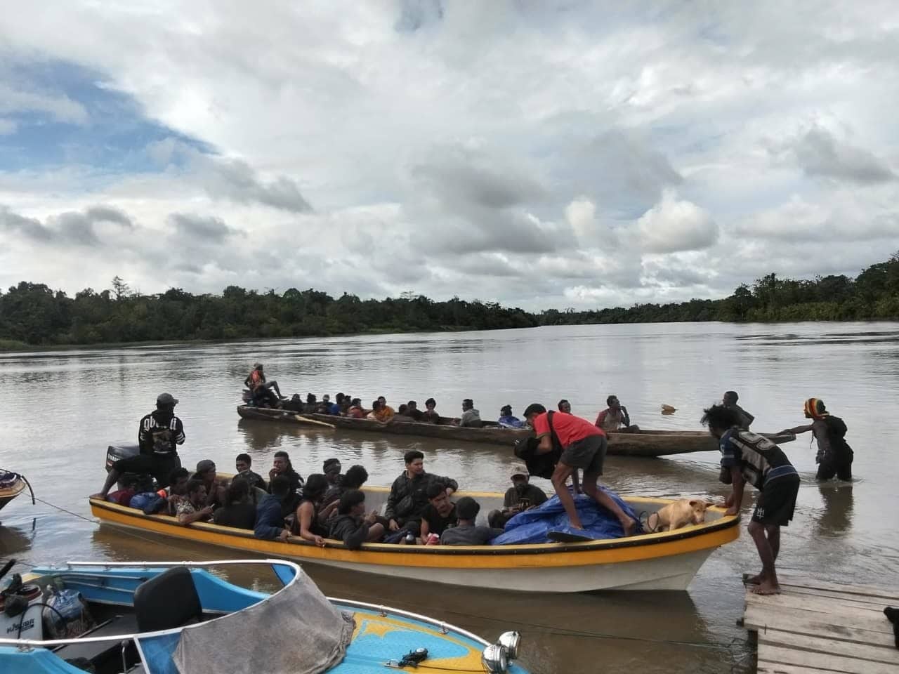 Ilustrasi berita Mimika: TNI Evakuasi 44 Pendulang Emas dari Distrik Awimbon Pegunungan Bintang Akibat Gangguan Keamanan