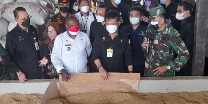 Menteri Pertanian mengecek jenis gabah