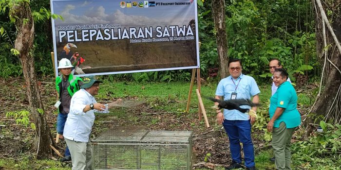 Pelepasliaran satwa Burung Nuri