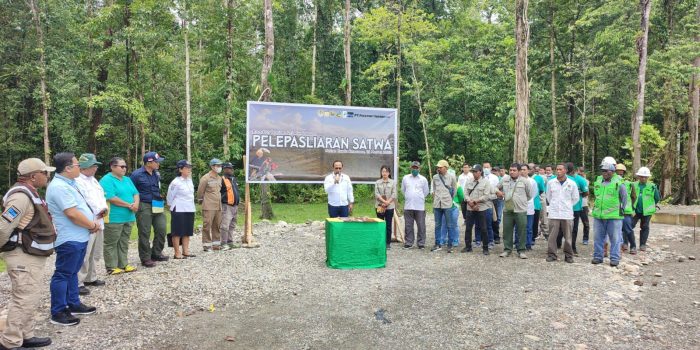 Pembukaan kegiatan Pelepasliaran Satwa Oleh BBKSDA Papua Yang Didukung Freeport